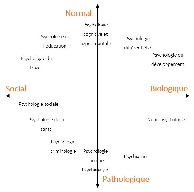 Découvrez les apports de la psychologie cognitive au